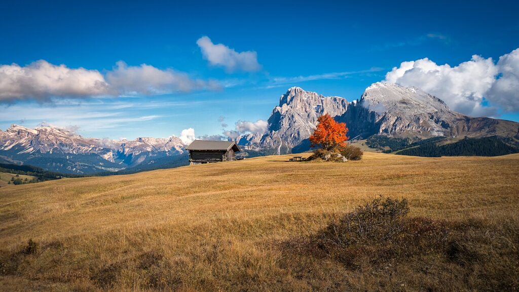 Alpe Di Siusi open meadow area.jpg